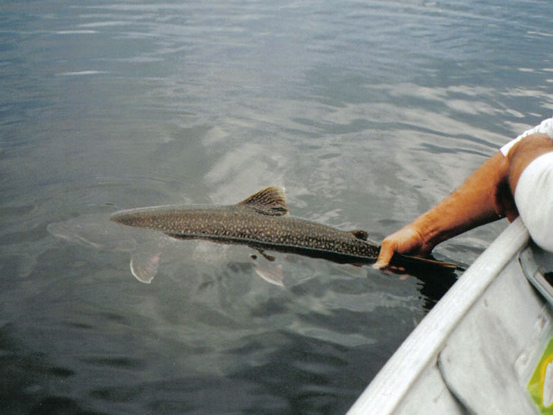 canada fishing trips