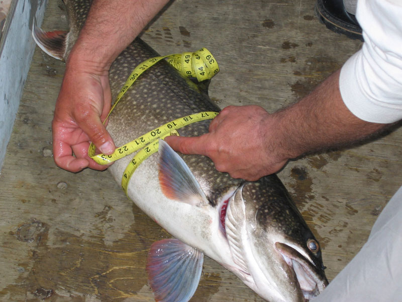 fly-in fishing