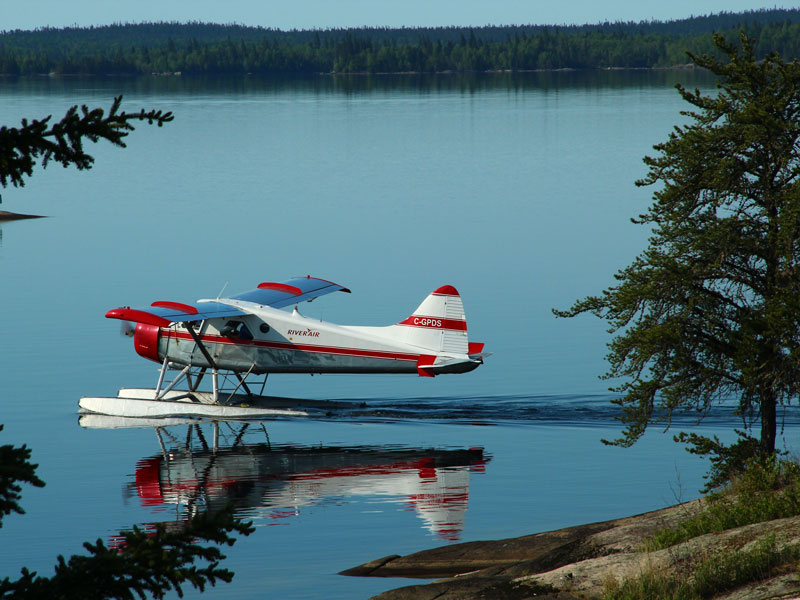 Beaver TAxe