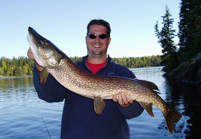 Trophy Walleye