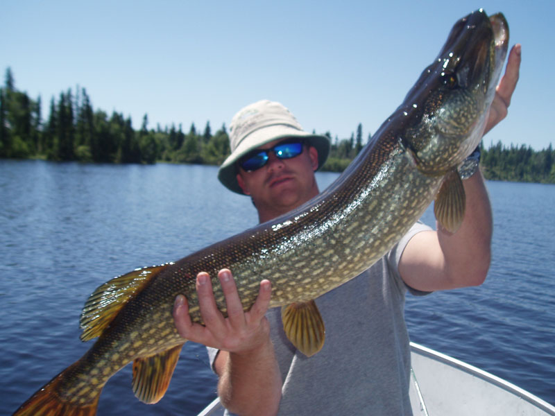 Ontario Pike Fishing