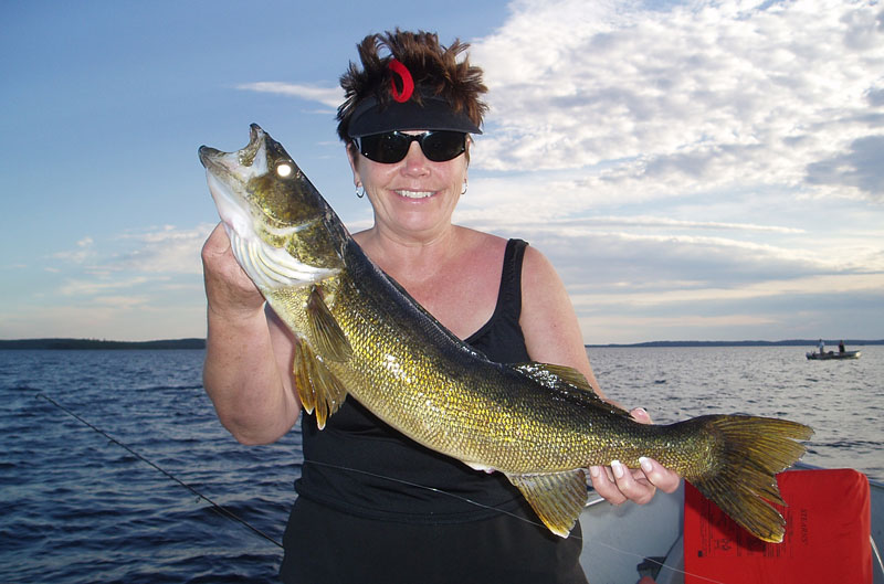 Trophy Walleye