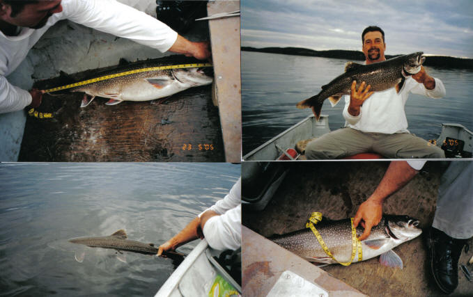 Fish Measuring