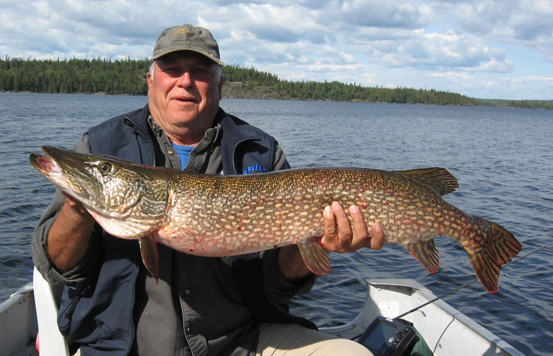 Trophy Northern Pike